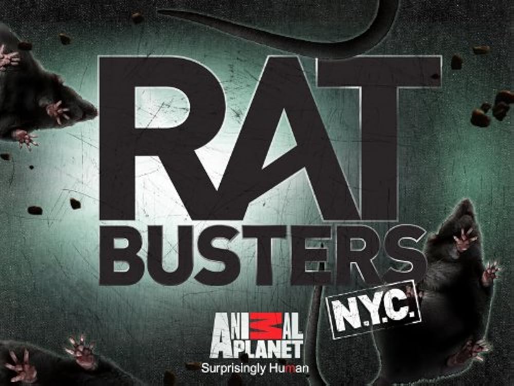 Rat Busters NYC