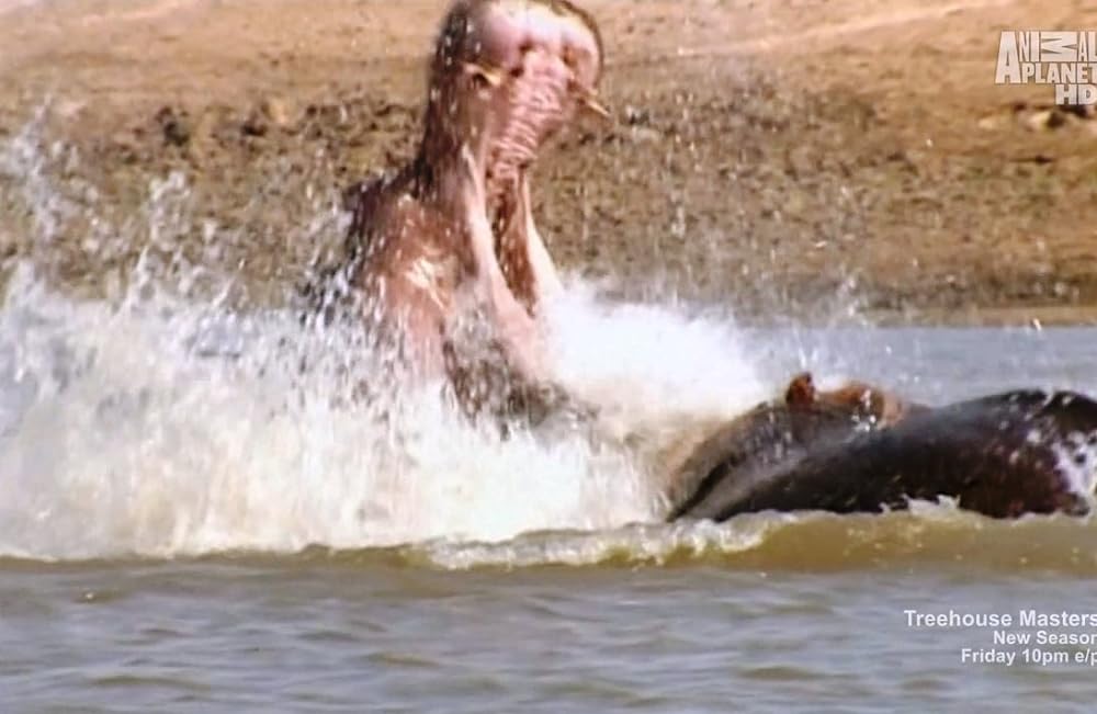 The Crocodile Hunter Wild River of Africa