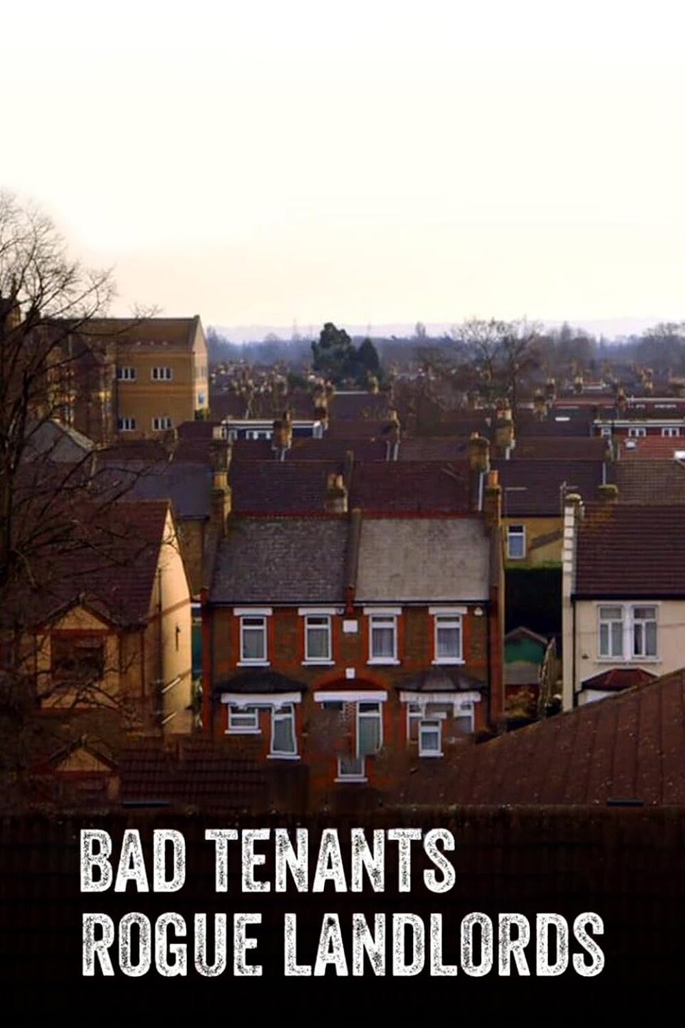 Bad Tenants, Rogue Landlords