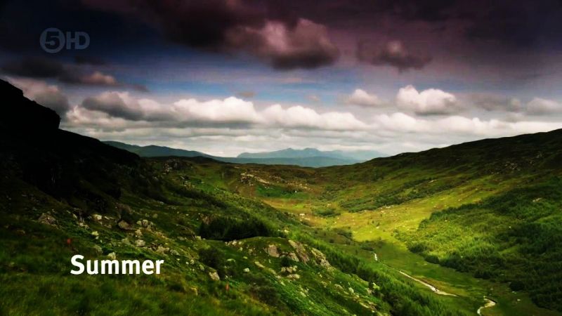 Loch Lomond A Year In The Wild 2of4 Summer 720p x264 HDTV EZTV