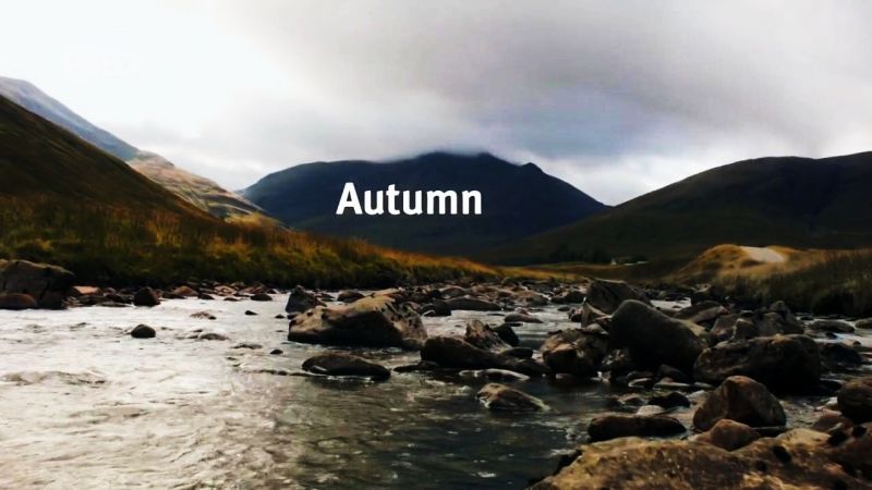 Loch Lomond A Year In The Wild 3of4 Autumn 720p x264 HDTV EZTV