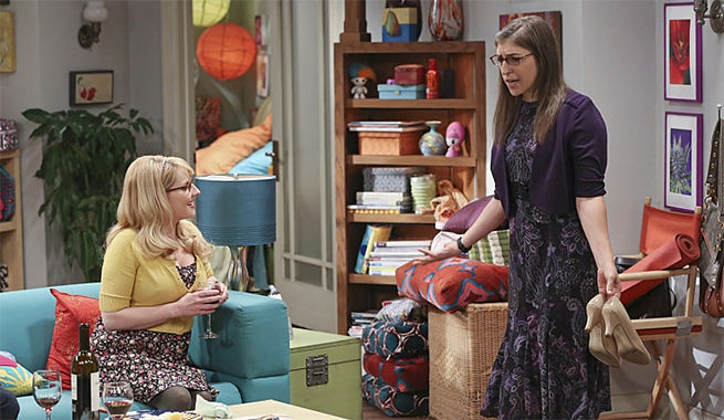 The Big Bang Theory S9E8 The Mystery Date Observation