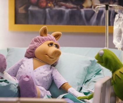 The Muppets S1E15 Generally Inhospitable