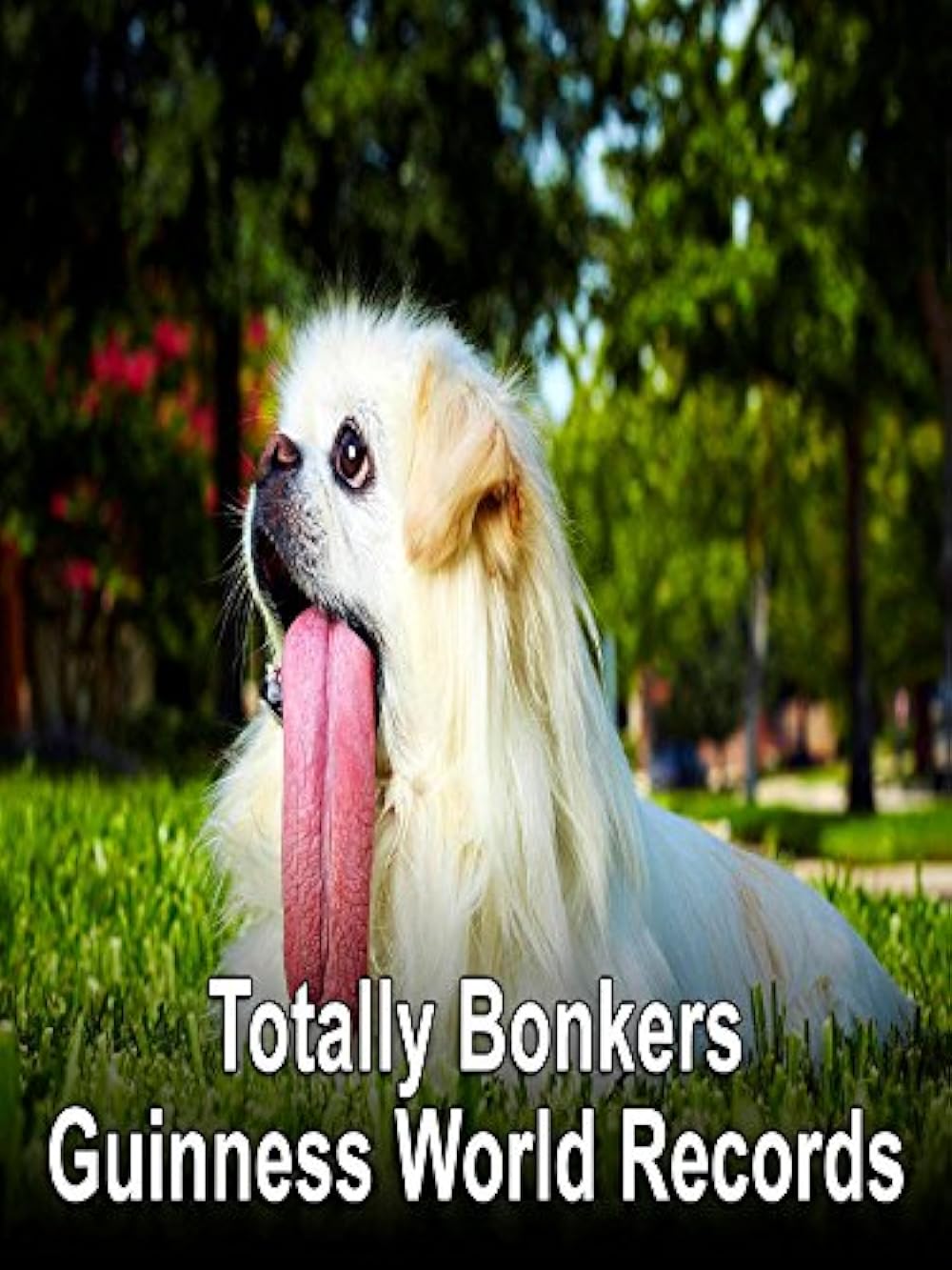 Totally Bonkers Guinness World Records