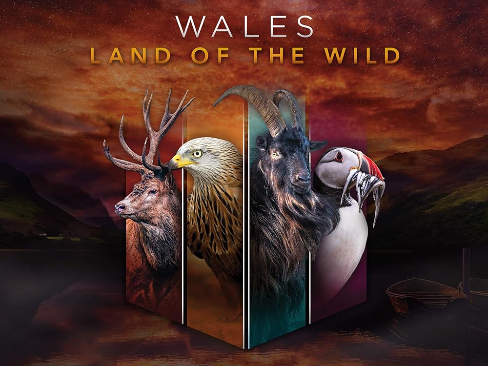 Wales: Land of the Wild